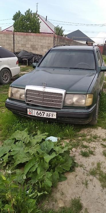 w12: Mercedes-Benz W124: 1991 г., 2.3 л, Механика, Бензин, Универсал — 1