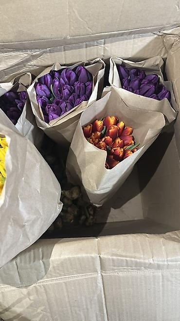 Букеты из живых цветов: Тюльпаны, срезка в крафт-упаковке. - Ассортимент оттенков — 1