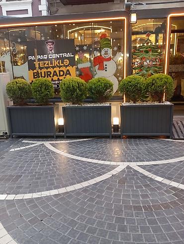 turizm şirkəti satılır: Isdelinen Dipceklerin hazirlamasi Metresi 90 azn — 4