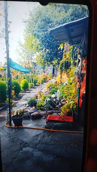 Продажа коттеджей и домов: Продается дом жилой с отоплением умная печка сарай Баня в принципе со — 18