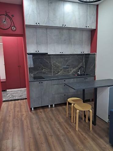 elegance stroy: 1 комната, Гоин Агентство недвижимости, Можно с животными, от 1 месяца, от 3 месяцев, от 6 месяцев, С мебелью полностью — 4