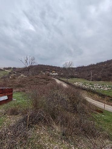 goy golde ucuz satılan evler: 14 sot, Tikinti, Barter mümkündür, Bələdiyyə — 1