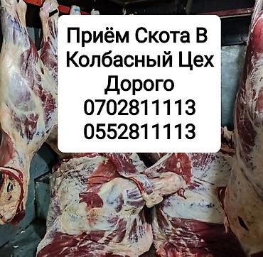 Животные: Колбасный цех, Частное лицо : Бараны, овцы, Коровы, быки, Лошади, кони, | Любое состояние, Забитый, Круглосуточно — 1