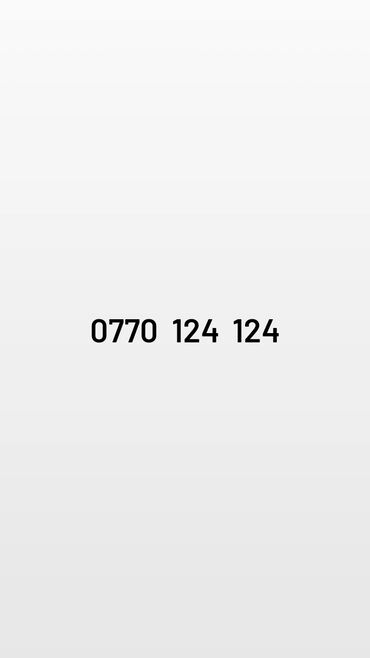 органайзер для телефона: Короткий красивый номер телефона: 0770 124 124 - Запоминающаяся
