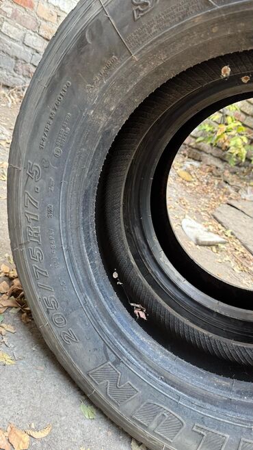 купить сельхоз шины: Автомобильная шина с маркировкой размера 205/75R17.5. Изделие