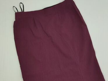 spódnice z zorzety: Women`s skirt