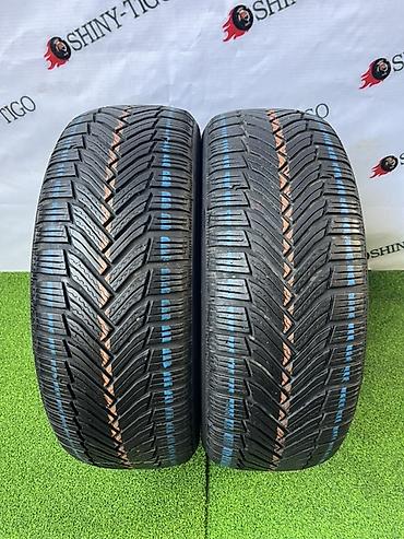 mishlen: Шины 205 / 55 / R 16, Зима, Б/у, Пара, Легковые, Michelin — 1
