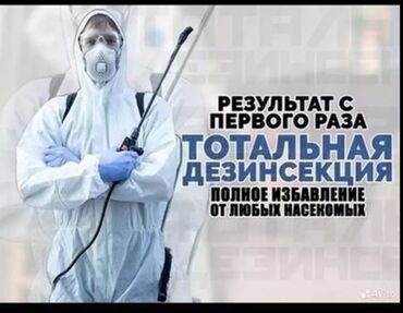 отрава от тараканов: Дезинфекциялоо, дезинсекциялоо | Канталалар, Бүргөлөр, Таракандар | Транспорт, Офистер, Батирлер