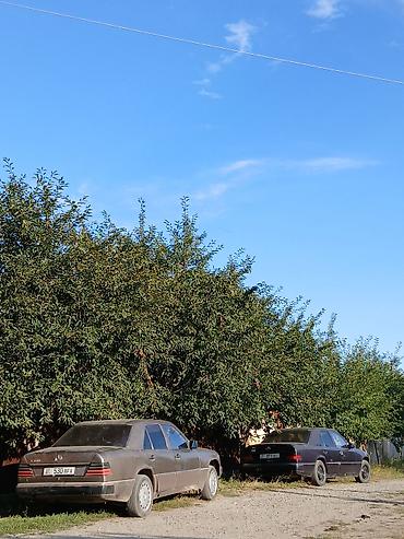 1221 2: Mercedes-Benz W124: 1989 г., 2.3 л, Механика, Бензин, Седан — 3