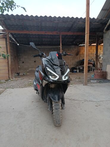 хонда мотоциклы: Макси скутер Honda, 150 куб. см, Бензин, Б/у