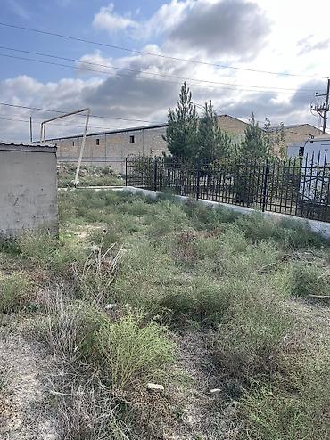 Torpaq sahələrinin satışı: 14 sot, Kənd təsərrüfatı, Barter mümkündür, Kupça (Çıxarış), Bələdiyyə — 5