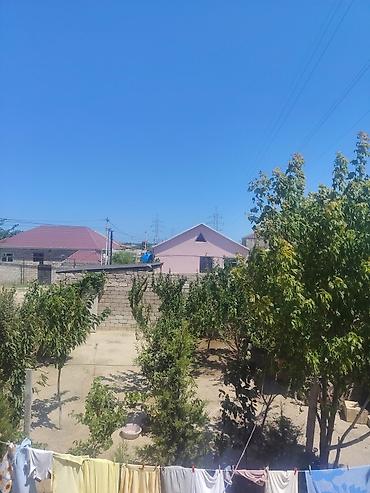 lepe: Tikinti, Mülkiyyətçi, Bələdiyyə — 2