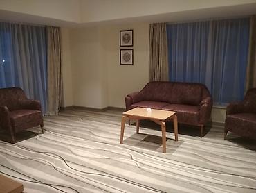 Другие виды отделочных работ: Больше 6 лет опыта — 17