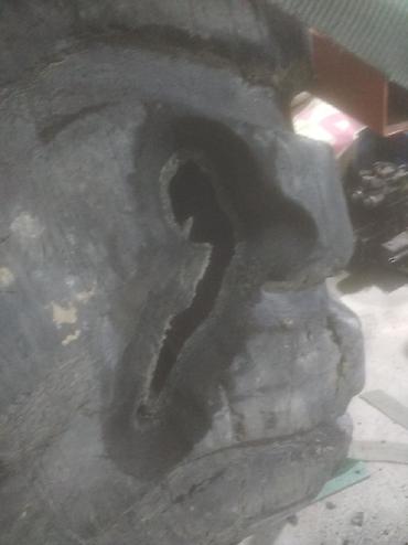 Шины: Ремонт шин на фронтальный погрузчик автокран экскаватор каток и — 10