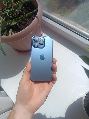 apple 5s iphone: IPhone 15 Pro, Б/у, 256 ГБ, Blue Titanium, Зарядное устройство, 100 % — 2