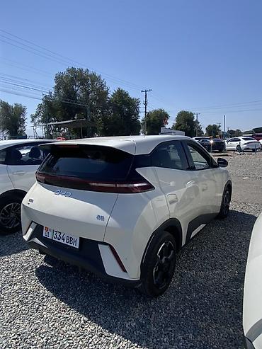 byd дельфин: BYD Dolphin: 2023 г., Автомат, Электромобиль, Хэтчбэк — 2