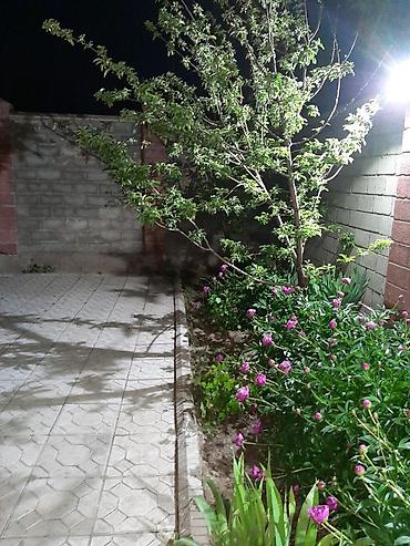 Посуточная аренда домов: 460 м², 12 комнат, Забор, огорожен — 20