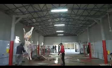 кой таш: Цех, Действующий, 212 м² — 1