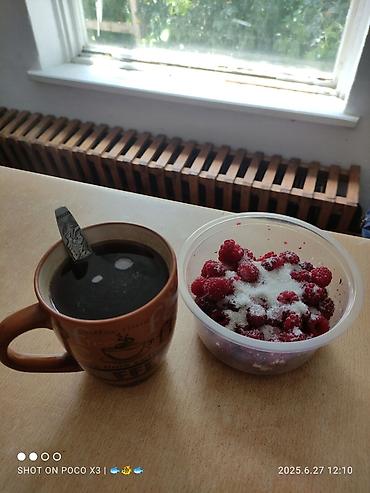 Продажа коттеджей и домов: Дом в ЧолпонАте р-он Хутор на участке более 10соток Продажа, два дома — 15