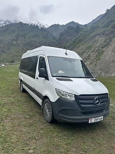 w210 e320: Пункт назначения: Все направления, Количество мест: 17, Лицензия №: Есть — 1