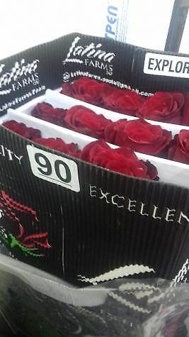 отдам даром цветы: Голландские розы 80см — 3