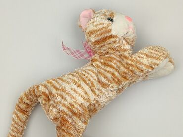 koszulki apator toruń: Mascot Tiger, condition - Very good