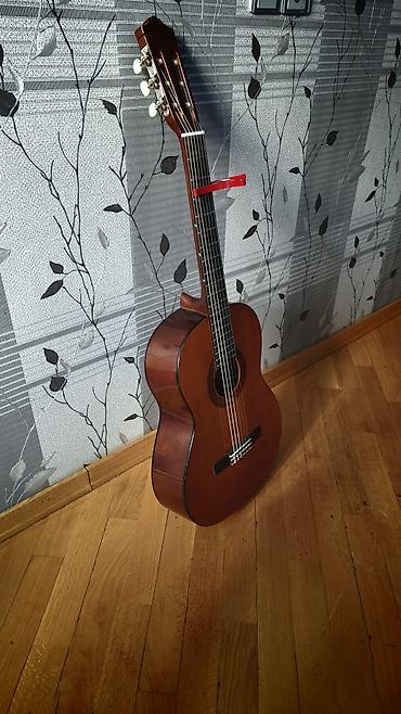 Akustik gitaralar: Məhsul: 2 ədəd 4/4 ölçülü akustik gitara dəsti Klassik 200 Azn Akustik — 6