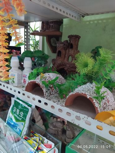 Рыбы: Рыбы — 15