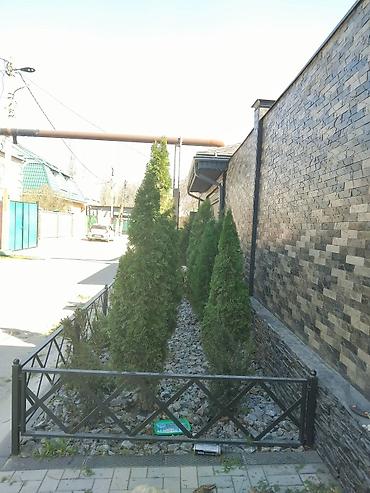 Дизайн, проектирование: Дизайн | Дома — 7