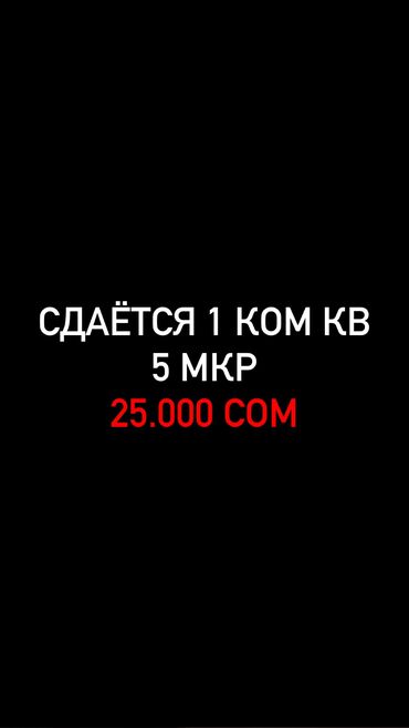 аренда квартиры на иссык куле: 1 комната, Собственник, Без подселения, С мебелью полностью