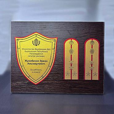 Значки, ордена и медали: Плакетки как наградная атрибутика представляет собой особый статус — 2