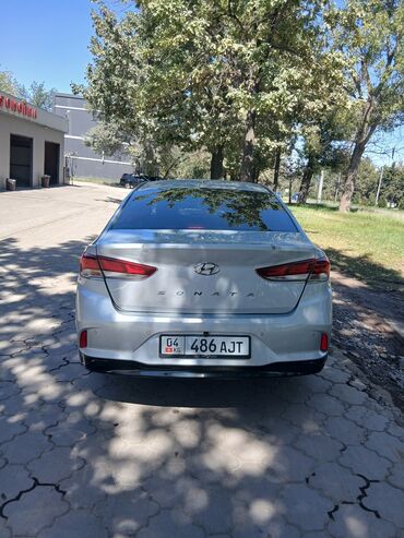 передок: Hyundai Sonata: 2019 г., Седан