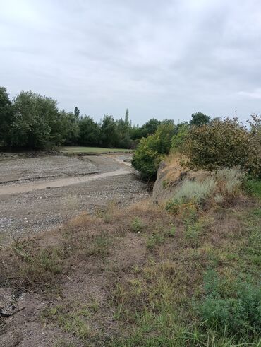 Ağaclar: Məhsul: Fındıq bağı və gilas bağı Təsvir: 1.20 Ha ərazidə 12illik — 12