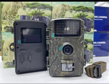 охотничьи: Фотокошка охотничья камера фотоловушка DLP охотничья камера для