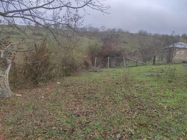 Torpaq sahələrinin satışı: 20 sot, Tikinti, Mülkiyyətçi, Kupça (Çıxarış), Texniki pasport — 12