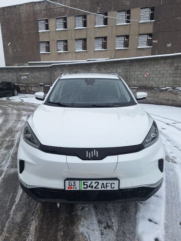 Weltmeister: Weltmeister EX5, 2021 г. — 1