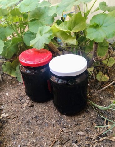 майонез 10 литров: Ağ tutun bəhməzi 🌿 Yarımkiloluq 10 ₼ Super dadı var 👍🏻 🏞️ Şəki