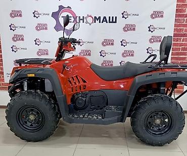 Квадроциклы: Квадроцикл Бензин, 500 куб. см, Взрослый — 9