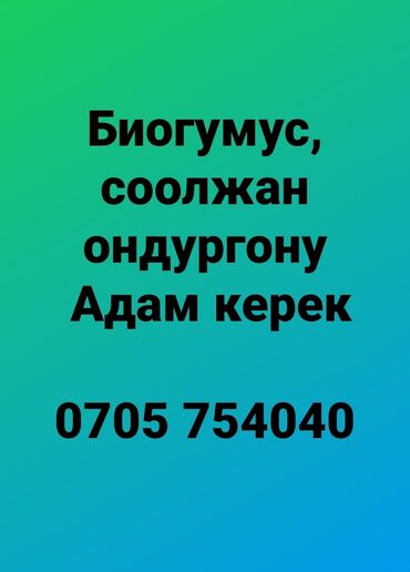 тооктун кыгы: Соолжан остуруп, биогумус жасаганга оноктош партнёр керек. Бизде жер