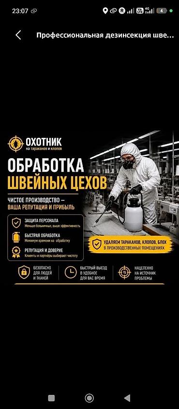 Дезинфекция, дезинсекция, | Тараканы at lalafo.kg Дезинфекция, дезинсекция, | Тараканы