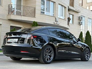 byd e6: Tesla Model 3: 2023 г., 0.1 л, Автомат, Электромобиль, Лифтбек — 4