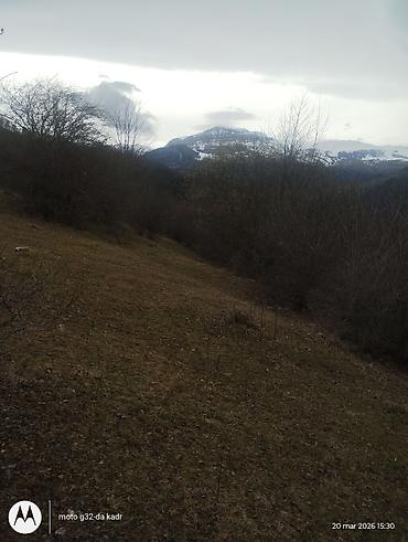 Torpaq sahələrinin satışı: 130 sot, Kənd təsərrüfatı, Kupça (Çıxarış) — 11