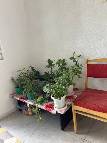 Продажа домов: Дом, 110 м², 5 комнат, Агентство недвижимости, Старый ремонт — 13