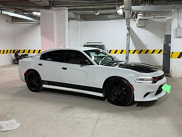 обмен шин: Dodge Challenger: 2019 г., 3.6 л, Автомат, Бензин, Седан — 1