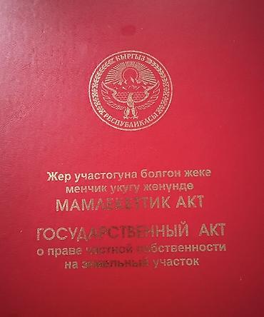 Жер тилкелери: 4 соток, Кызыл китеп — 1