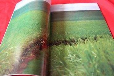 Knjige: NATIONAL GEOGRAPHIC SRBIJA OKTOBAR 2007. | National Geographic — 10