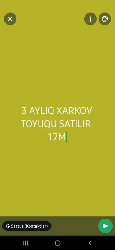 Çox böyükdür