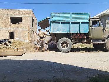 строительный: Вывоз мусара — 2