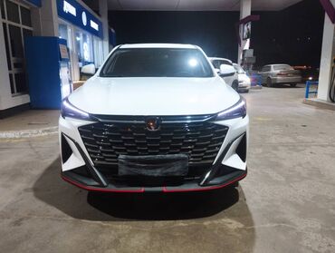 Другие детали кузова: Свежий Состояние как новый Год 2025 Кроссовер белого цвета в — 1