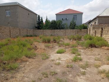 deniz qiraginda torpaq satilir: 4 sot, Kənd təsərrüfatı, Makler, Kupça (Çıxarış)